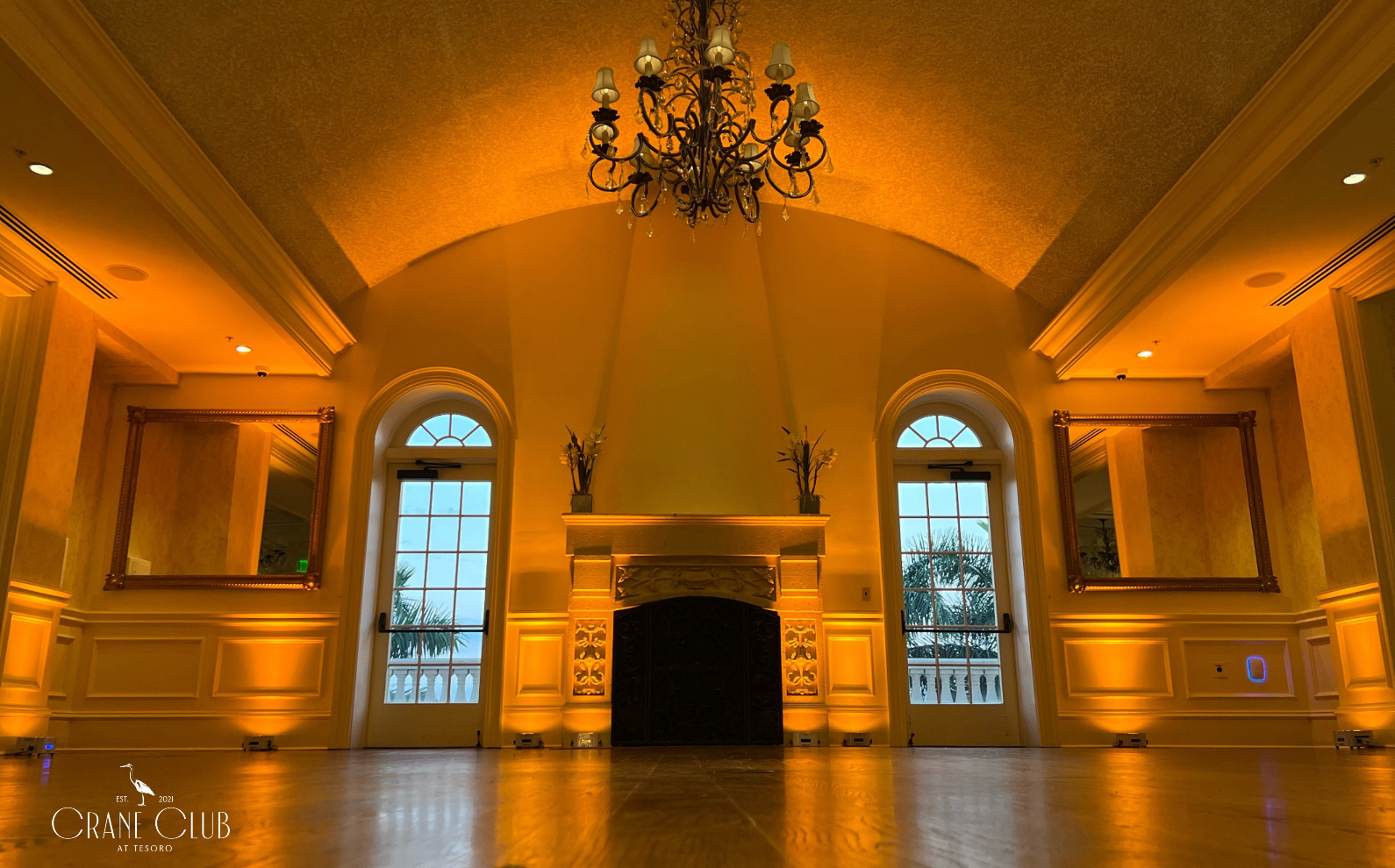 timber-black-crop-absolute-dj